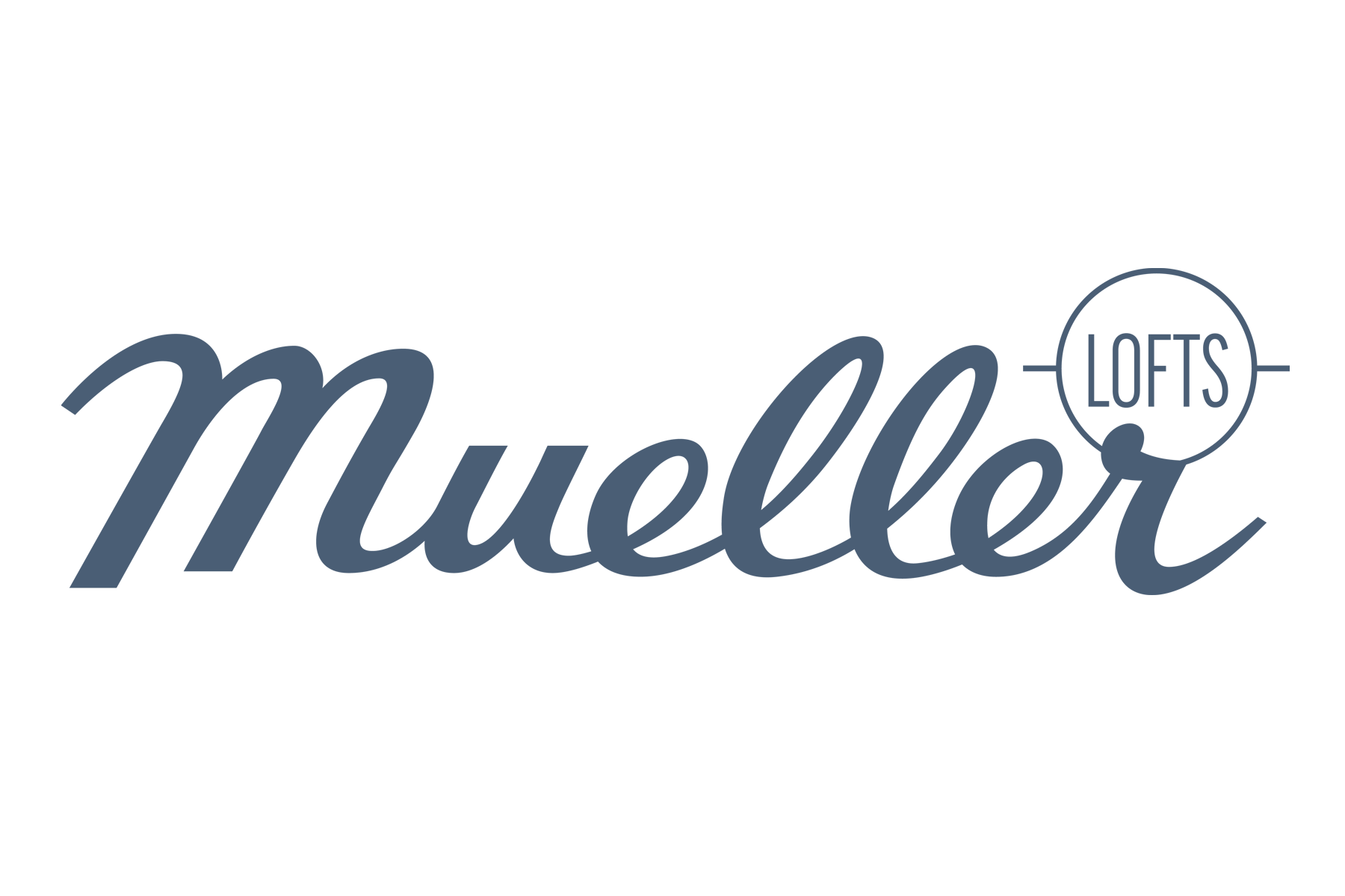 logo_for_lincoln-mueller