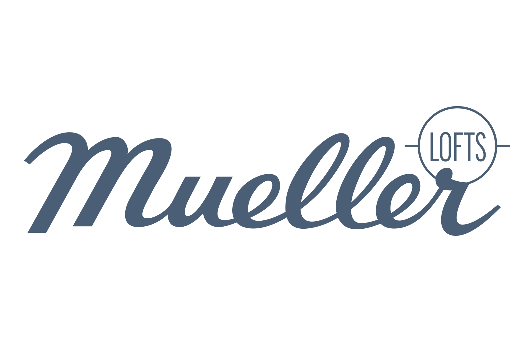 logo_for_lincoln-mueller